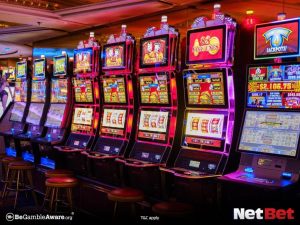 baixopg|Bingo Online – Registre-se Rápido no Cassino Moderno